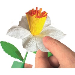 Clementoni Idea - 18876 Create Your Flowers, Kit Creativo per Comporre Fiori, con 2 Narcisi in Carta da Assemblare e Personaliz