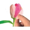 Clementoni Idea - 18878 Create Your Flowers, Kit Creativo per Comporre Fiori, con 2 Tulipani in Carta da Assemblare e Personali