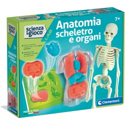 Clementoni 19414 Scienza e Gioco Lab - Anatomia Scheletro e Organi, Gioco Scientifico per Scoprire Il Corpo Umano