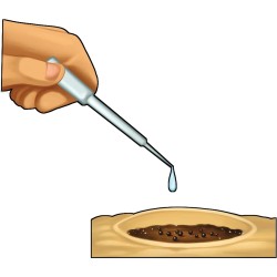 Clementoni 19422 Scienza e Gioco Lab - La Botanica delle Piante Grasse, Gioco Scientifico, Kit Piante Grasse da Coltivare in Or