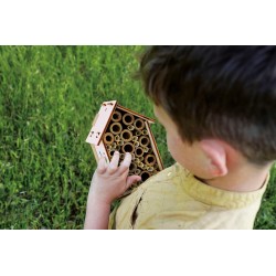 Lisciani Giochi - I m a Genius Il laboratorio delle api, 110292