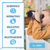 VTech Video Binocolo Interattivo, Binocolo Bambini con 6 Modalità di Gioco, Schermo LCD a Colori, Oltre 700 Contenuti BBC Integ