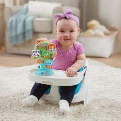 VTech Baby Ruota Panoramica, Gioco Interattivo Bambino con Sensore di Movimento e Stelle Colorate, Supporto con Ventosa, più di
