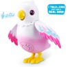 Zurur - Pets Alive Polly the Magic Bird, giocattolo robotizzato animale uccello Surprise