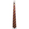 Rubies Kit accessori di Harry Potter per ragazzi include occhiali, bacchetta di Harry Potter e cravatta. Warner ufficiale