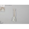 Appendini Legno Numero 18 Bianco, 12 Pezzi