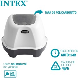 Intex 26664 Generatore Salino di Cloro per Piscine Piccole Metal Frame e Prisma