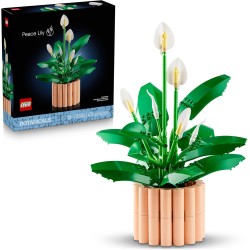 LEGO Botanicals Spatifillo 11504 - Set per Adulti di Piante Artificiali con Vaso, Fiori Bianchi Finti e Boccioli - Decorazione 