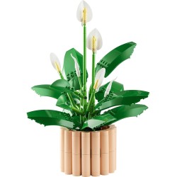 LEGO Botanicals Spatifillo 11504 - Set per Adulti di Piante Artificiali con Vaso, Fiori Bianchi Finti e Boccioli - Decorazione 