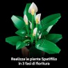 LEGO Botanicals Spatifillo 11504 - Set per Adulti di Piante Artificiali con Vaso, Fiori Bianchi Finti e Boccioli - Decorazione 