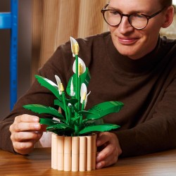LEGO Botanicals Spatifillo 11504 - Set per Adulti di Piante Artificiali con Vaso, Fiori Bianchi Finti e Boccioli - Decorazione 