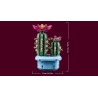 LEGO Botanicals Cactus in Fiore 11509 - Pianta Artificiale in Vaso con 2 Cactus e Fiori Finti - Decorazione per la Casa di San 