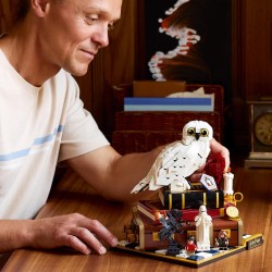 LEGO 76466 Harry Potter Pietra Filosofale – Edizione del Collezionista - Regali per la Festa del Papà - Modellino Fai da Te - D
