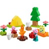 LEGO DUPLO 10452 Peppa Pig Gita in Campeggio con Papà - Giochi Montessori per Bambine e Bambini da 2 Anni - con Tenda, Canoa, F