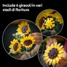 LEGO 11502 Botanicals Bouquet di Girasoli - Set di Fiori Artificiali per Adulti - Girasoli Finti e Steli di Eucalipto per Decor