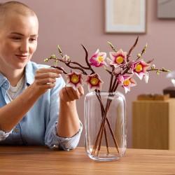 LEGO 11510 Botanicals Rametti di Magnolia - Set di Fiori Finti per Adulti - 5 Magnolie Artificiali per Decorare il Soggiorno o 