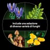 LEGO 11505 Botanicals Funghi del Bosco - Set di Piante Artificiali per Adulti con un Fungo Velenoso e Fiori Finti - Decorazione