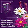 LEGO 11514 Botanicals Fiori di Cosmos - Bouquet di Fiori Finti con 3 Cosmos Artificiali e 2 Steli di Penniseto - Decorazione da