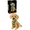 LEGO Icons 11384 Cucciolo di Golden Retriever - Kit Modellismo per Adulti - Modello 3D di Animale da Esposizione con Collare e 