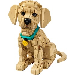 LEGO Icons 11384 Cucciolo di Golden Retriever - Kit Modellismo per Adulti - Modello 3D di Animale da Esposizione con Collare e 