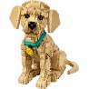 LEGO Icons 11384 Cucciolo di Golden Retriever - Kit Modellismo per Adulti - Modello 3D di Animale da Esposizione con Collare e 
