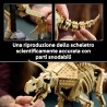 LEGO 77985 Jurassic World Fossili di Dinosauro: Triceratopo - Kit Modellismo per Adulti con Minifigure del Dr. Gerry Harding - 