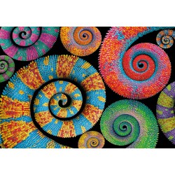 Clementoni - 35529 Color Boom Collection Puzzle 500 Pezzi per Adulti e Ragazzi, Illustrazione Astratta Colorata Curly Tails, Id