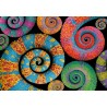 Clementoni - 35529 Color Boom Collection Puzzle 500 Pezzi per Adulti e Ragazzi, Illustrazione Astratta Colorata Curly Tails, Id