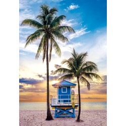 Clementoni - Puzzle 500 Pezzi per Adulti e Ragazzi, Collection, Tema Miami Beach, Idea Regalo Uomo e Donna, Made in Italy, 49x3