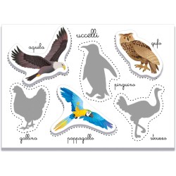 Clementoni Sapientino Montessori - Gli Animali, Gioco Educativo Metodo Montessoriano per Bambini 3-5 Anni, per Scoprire e Class