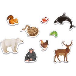 Clementoni Sapientino Montessori - Gli Animali, Gioco Educativo Metodo Montessoriano per Bambini 3-5 Anni, per Scoprire e Class