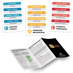 Ludic – Brain Cards Anagrammi Sinonimi e Contrari – 250 Enigmi e Giochi di Parole | Gioco di Carte di Lessico e Logica, Sfide d