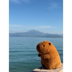 ODS My vip - Kawaii Capibara 30 cm