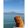 ODS My vip - Kawaii Capibara 30 cm