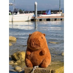 ODS My vip - Kawaii Capibara 30 cm