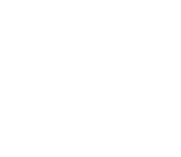 Cake Design